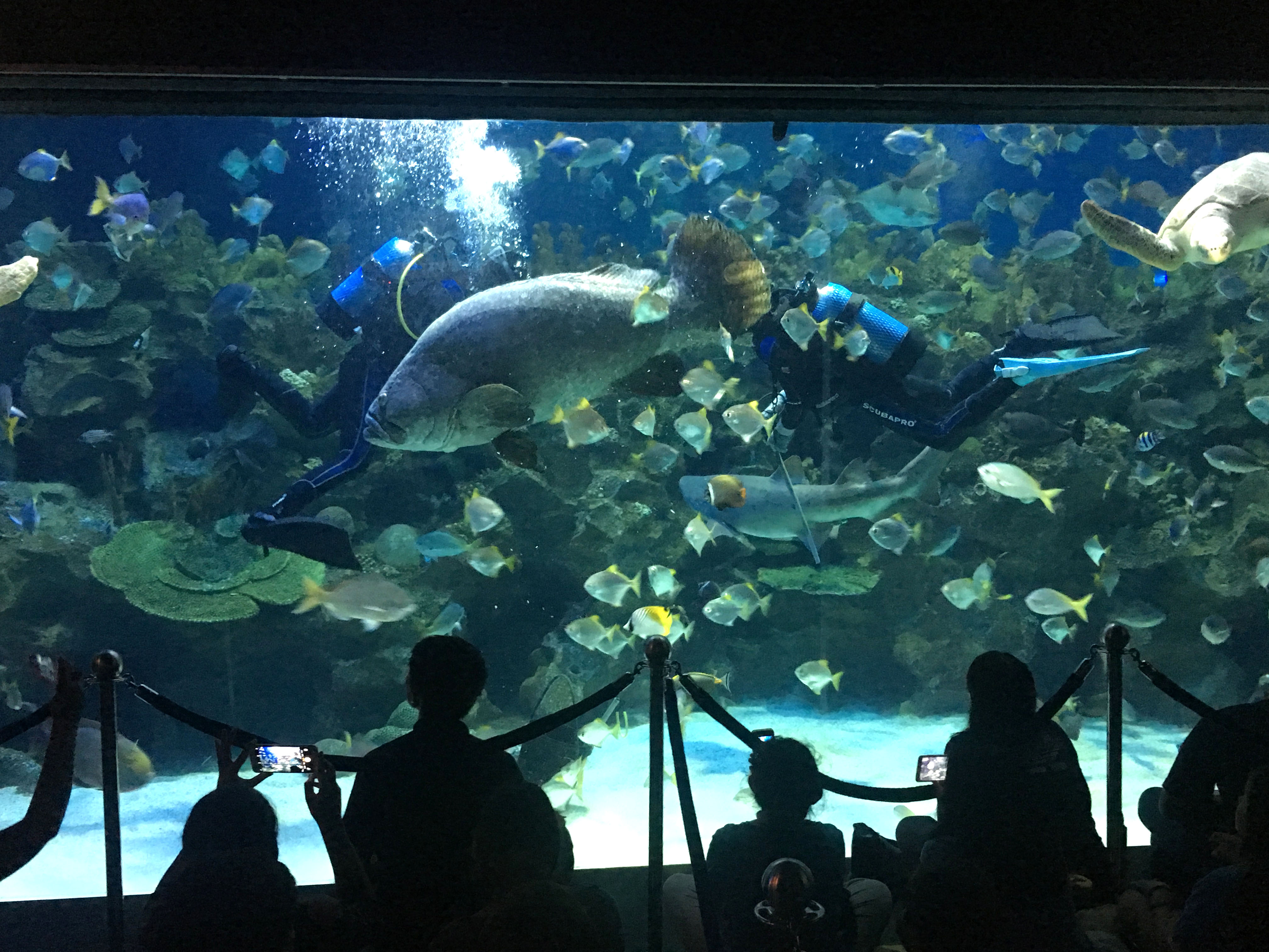 Marine Researcher for a Day Marine Researcher for a Day